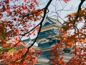 Turismo de luxo: do Brasil à Ásia, experiências imersivas são cada vez mais valorizadas
