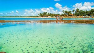 São Miguel dos Milagres encanta com mar azul turquesa e águas quentes
