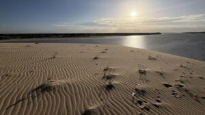 Entre o sertão e as praias do Rio Grande do Norte, conheça um roteiro diferente pelo Nordeste