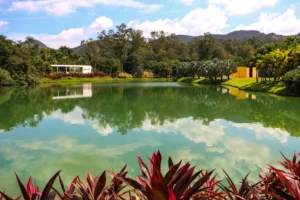 Esse é o destino brasileiro que o New York Times quer que você conheça em 2026

